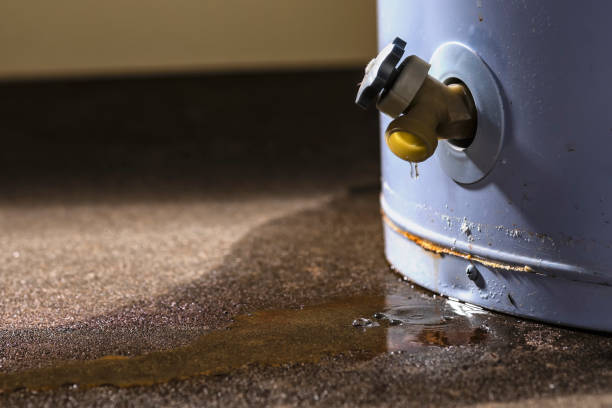 Best Water damage restoration specialists  in Melbourne, AR