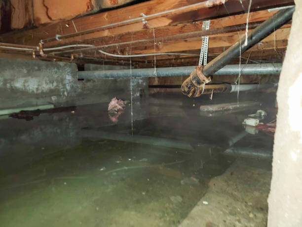 Trusted Melbourne, AR Water damage restoration Experts