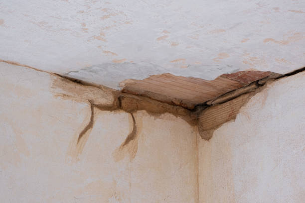 Best Water damage restoration insurance claims  in Melbourne, AR