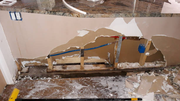Best Flood damage cleanup  in Melbourne, AR