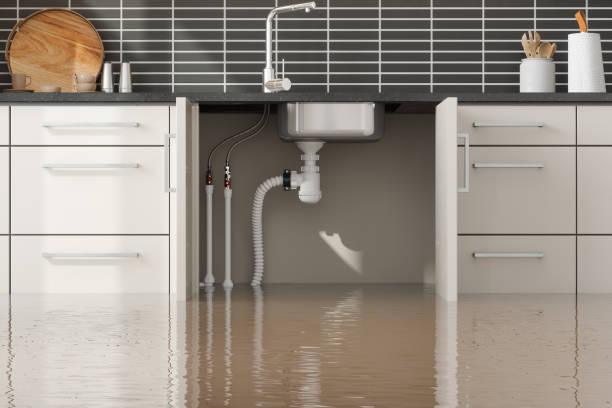  Melbourne, AR Water damage restoration Pros