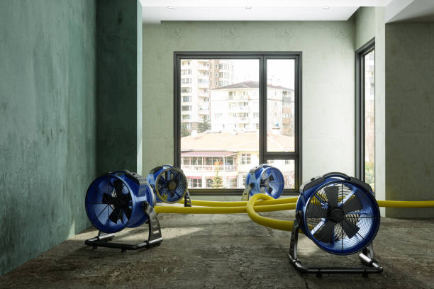 Best Professional water damage repair  in Melbourne, AR