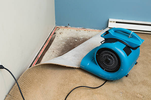 Best Commercial water damage restoration  in Melbourne, AR